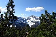 44 Il Pizzo di Roncobello visto da sopra il Roccolo del Veroppio